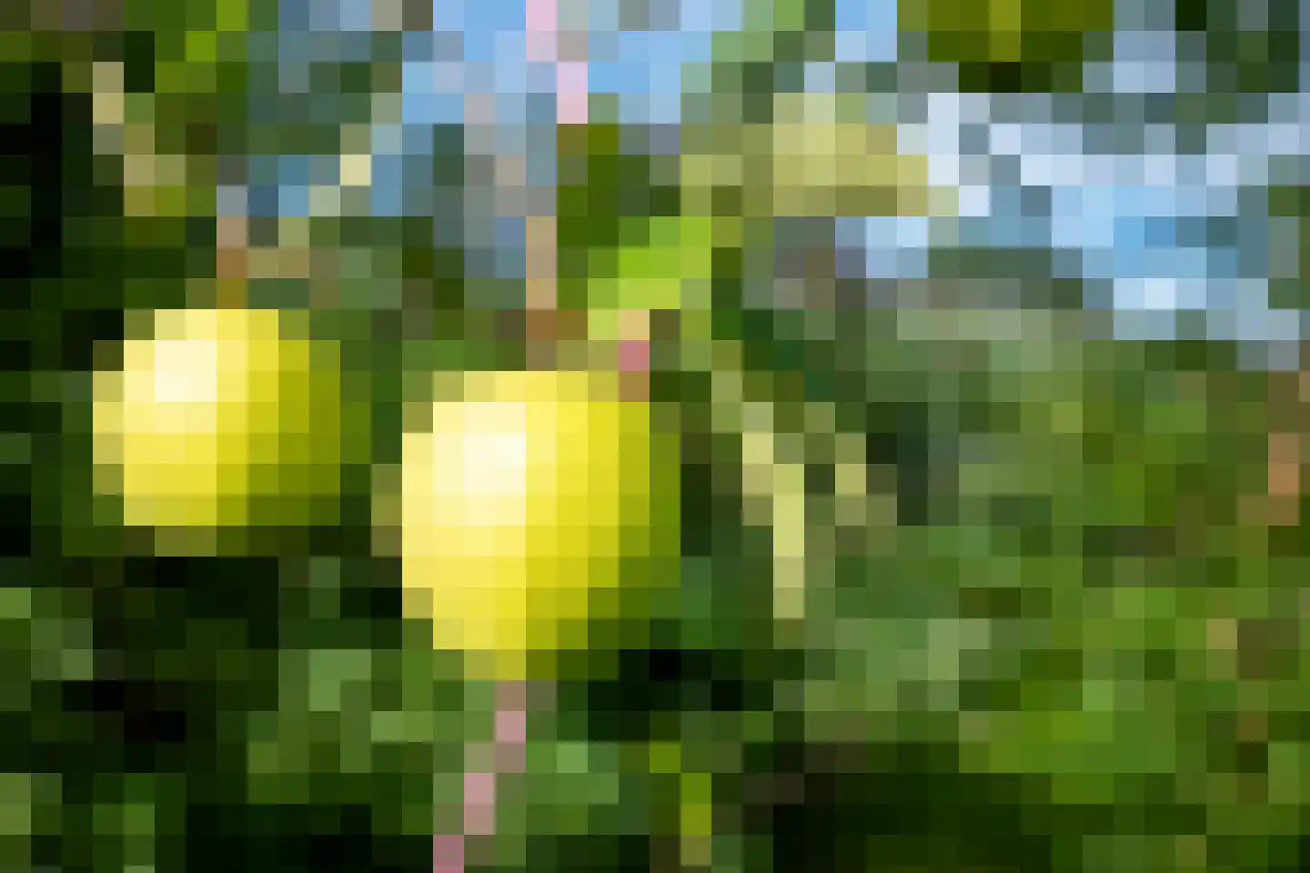 Buinerweg 4 Ees thumbnail 48