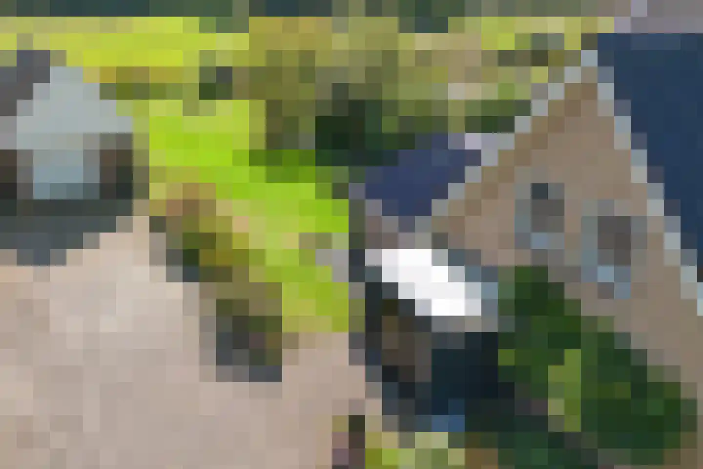 Buinerweg 4 Ees thumbnail 50