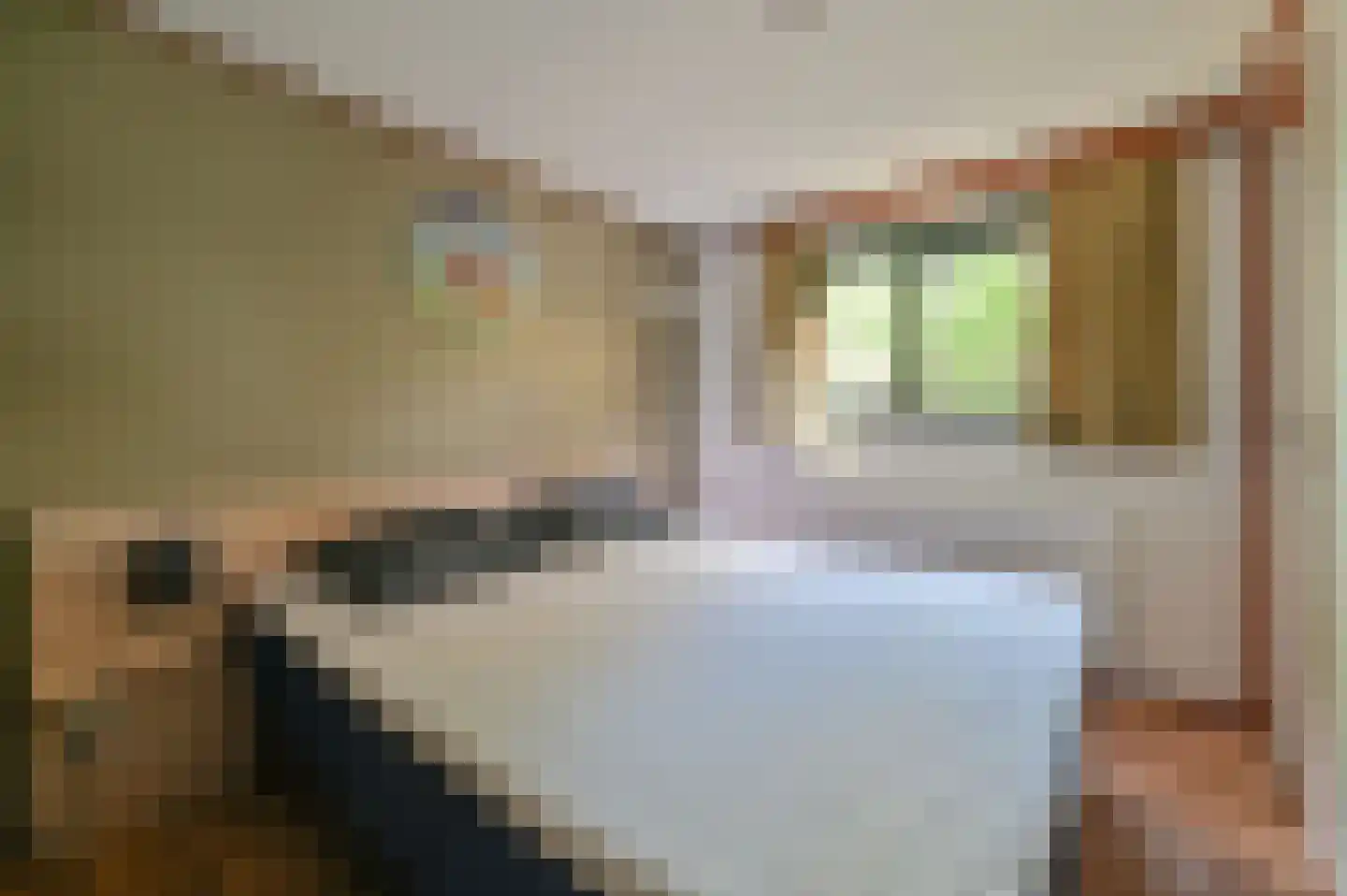 Buinerweg 8 003 Ees thumbnail 10