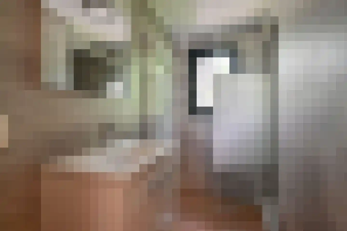 Buinerweg 8 003 Ees thumbnail 12