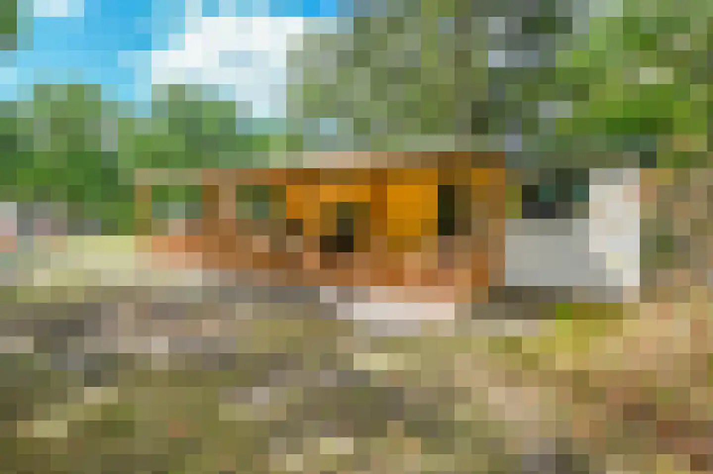Buinerweg 8 003 Ees thumbnail 18