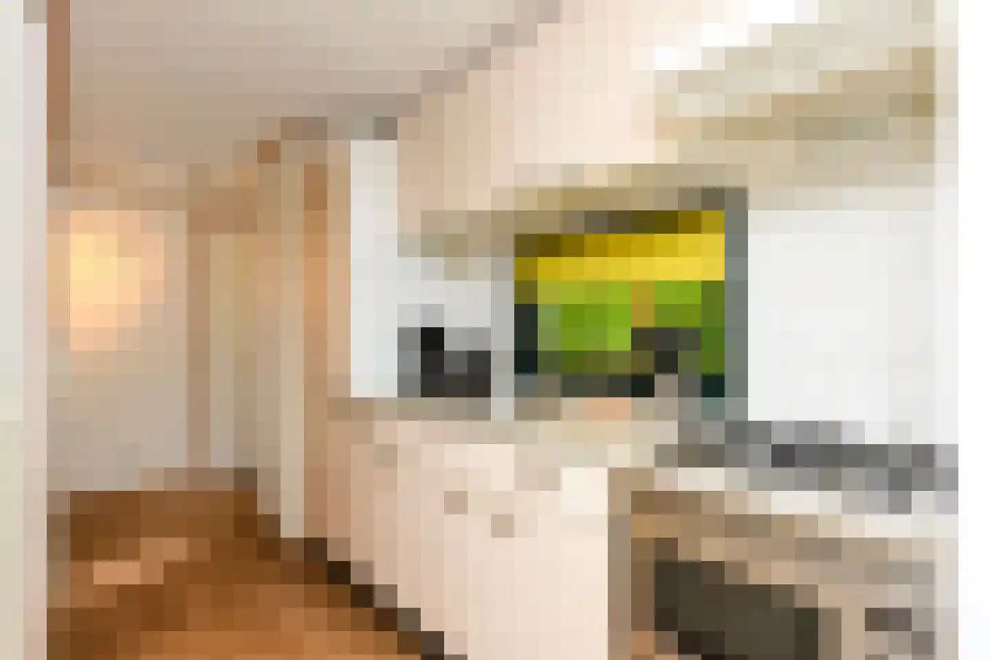 Buinerweg 8 016 Ees thumbnail 7