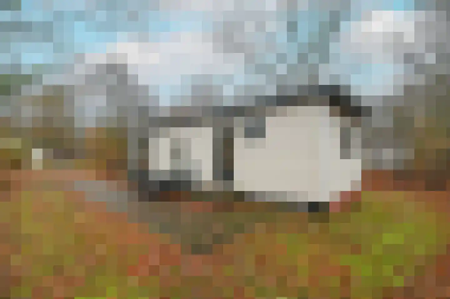 Buinerweg 8 039 Ees thumbnail 15