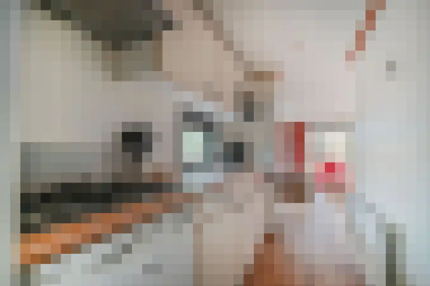 Buinerweg 8 039 Ees thumbnail 6