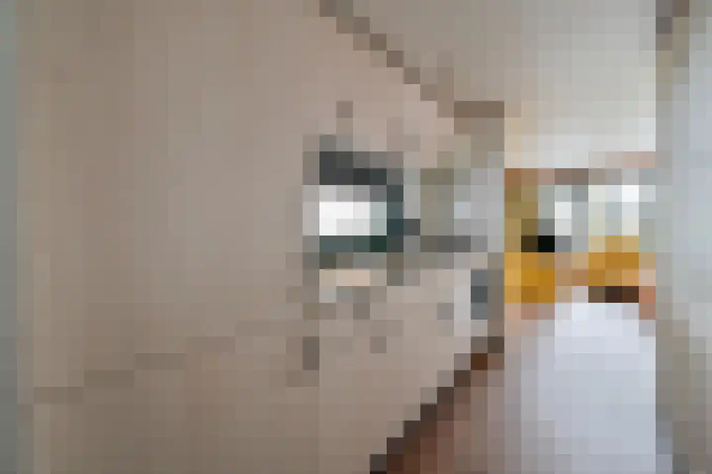 Buinerweg 8 041 Ees thumbnail 10