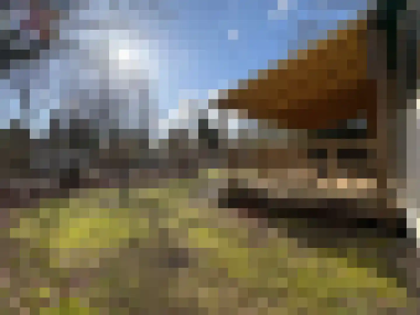 Buinerweg 8 041 Ees thumbnail 4