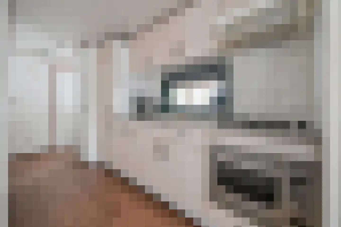 Buinerweg 8 041 Ees thumbnail 9