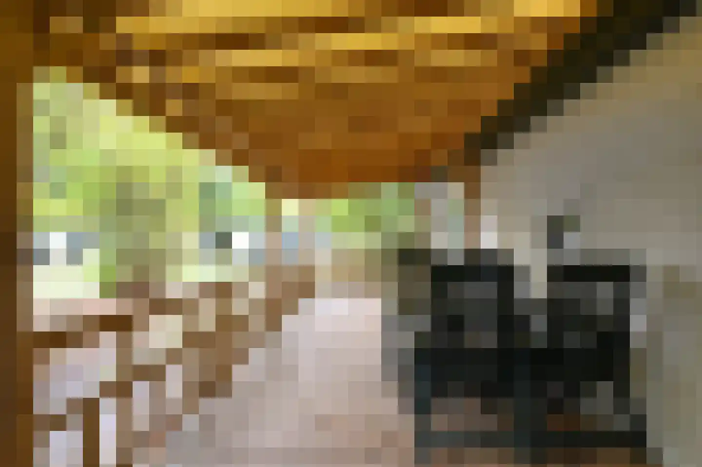 Buinerweg 8 091 Ees thumbnail 16