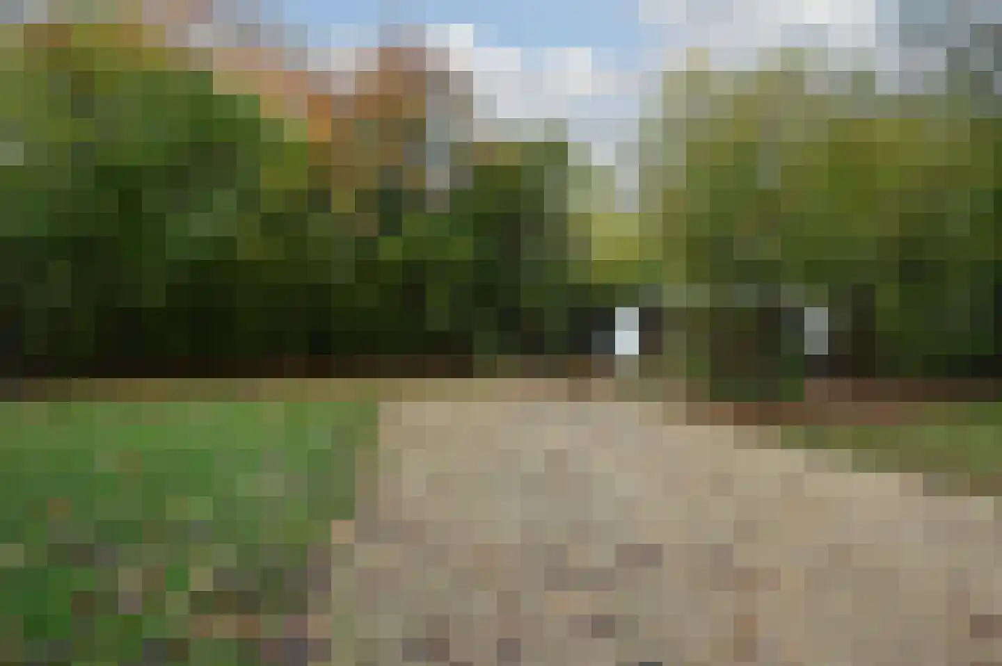 Buinerweg 8 091 Ees thumbnail 18