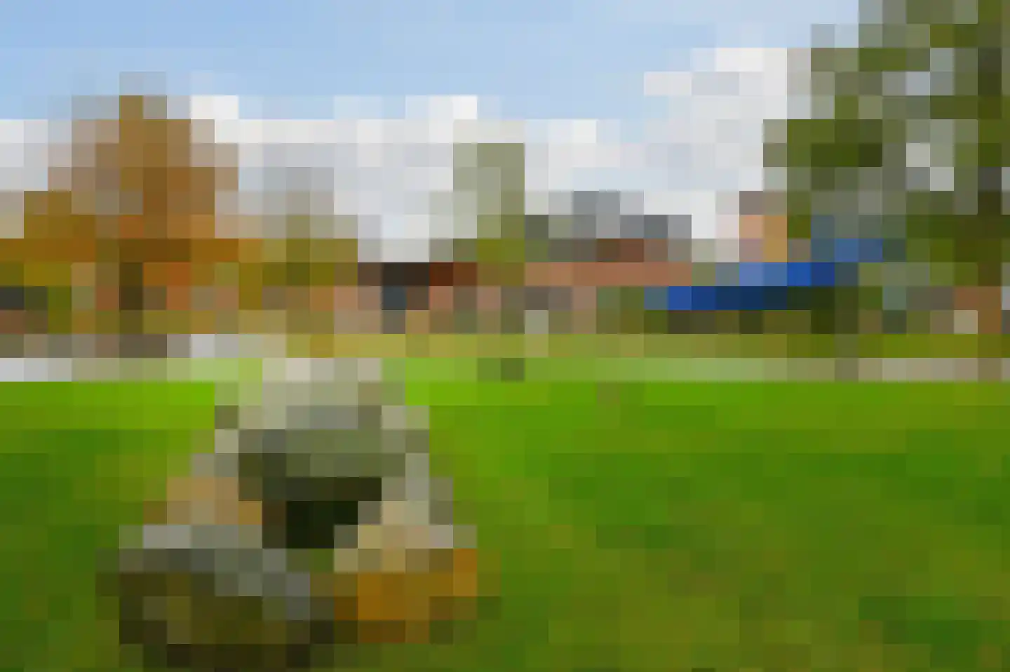 Buinerweg 8 091 Ees thumbnail 20
