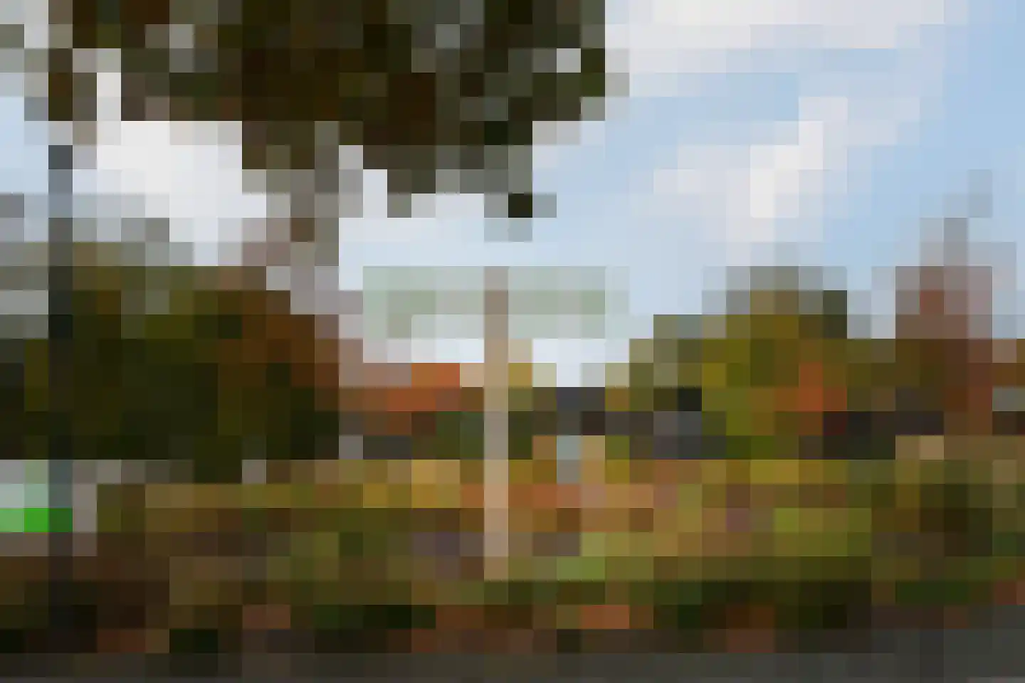 Buinerweg 8 091 Ees thumbnail 21