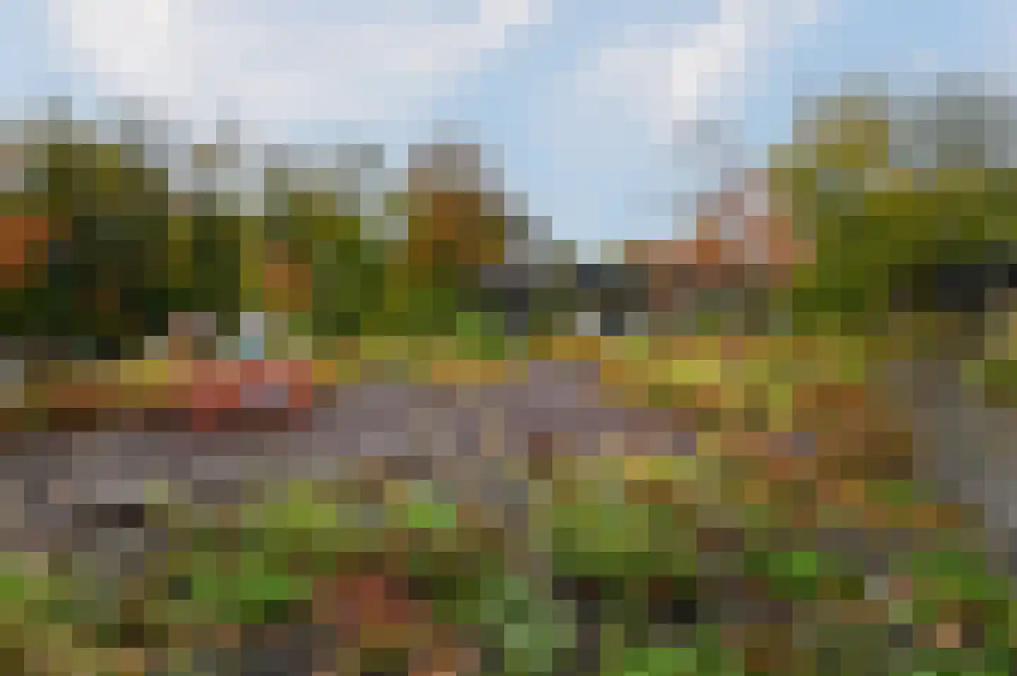 Buinerweg 8 091 Ees thumbnail 22