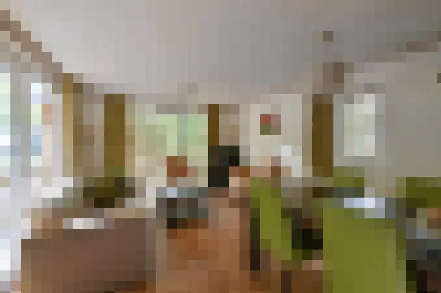Buinerweg 8 091 Ees thumbnail 4