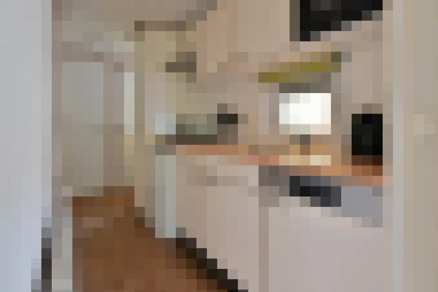 Buinerweg 8 091 Ees thumbnail 7