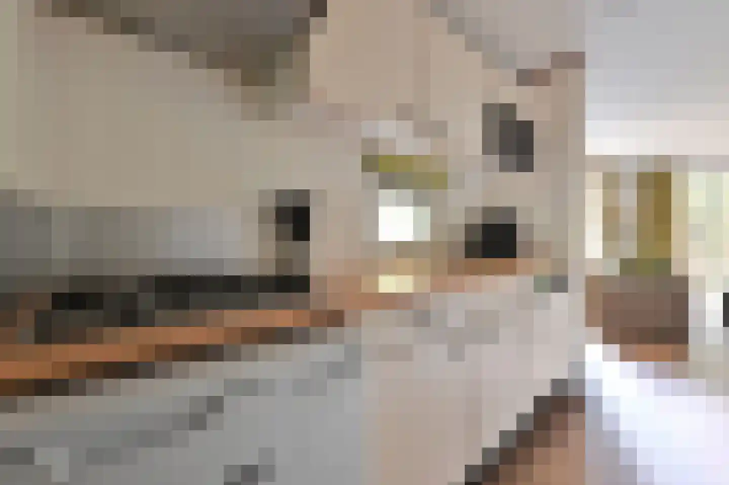 Buinerweg 8 091 Ees thumbnail 8