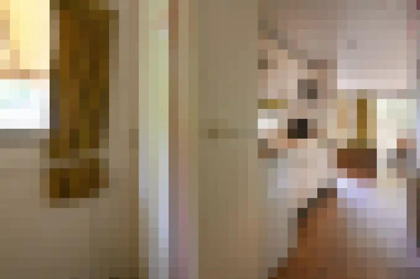 Buinerweg 8 091 Ees thumbnail 9