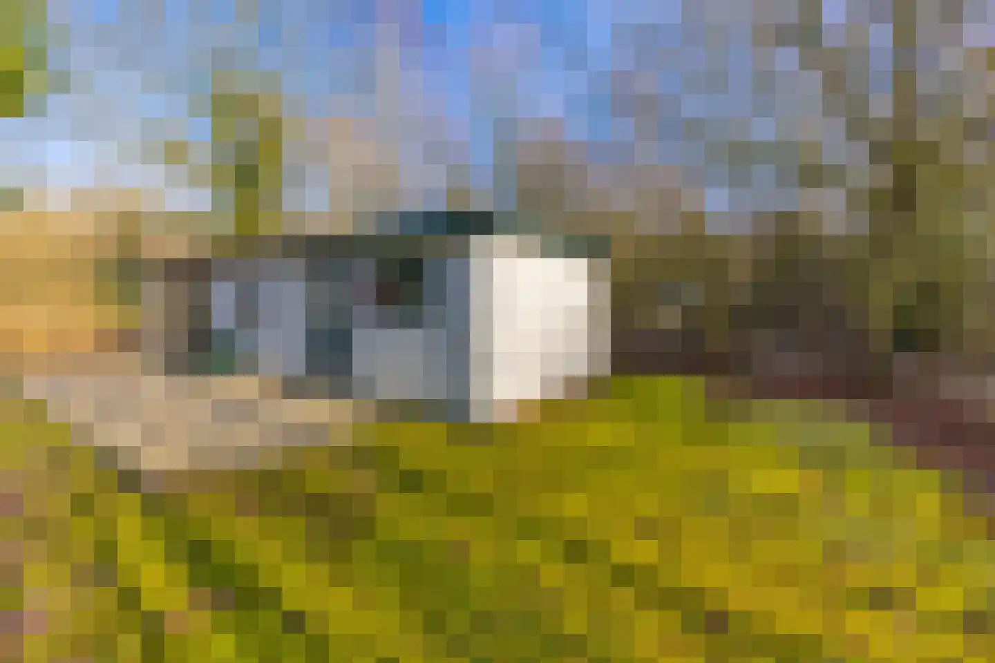 Buinerweg 8 095 Ees thumbnail 16