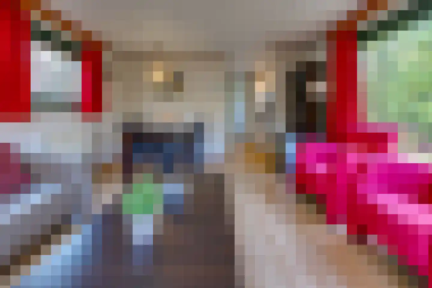Buinerweg 8 095 Ees thumbnail 6