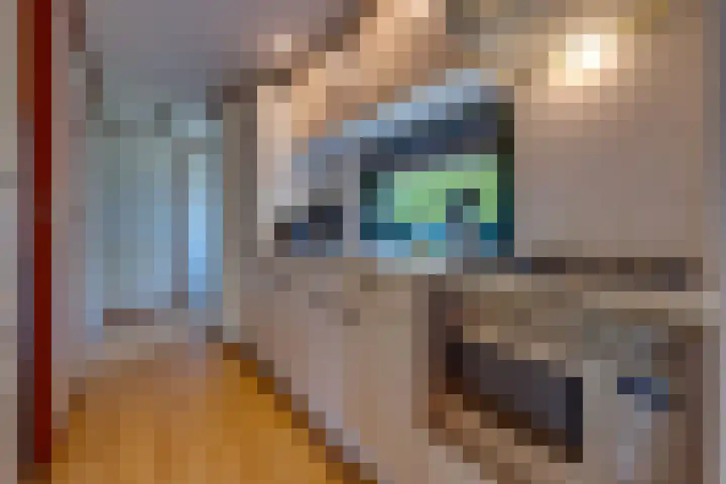 Buinerweg 8 095 Ees thumbnail 7