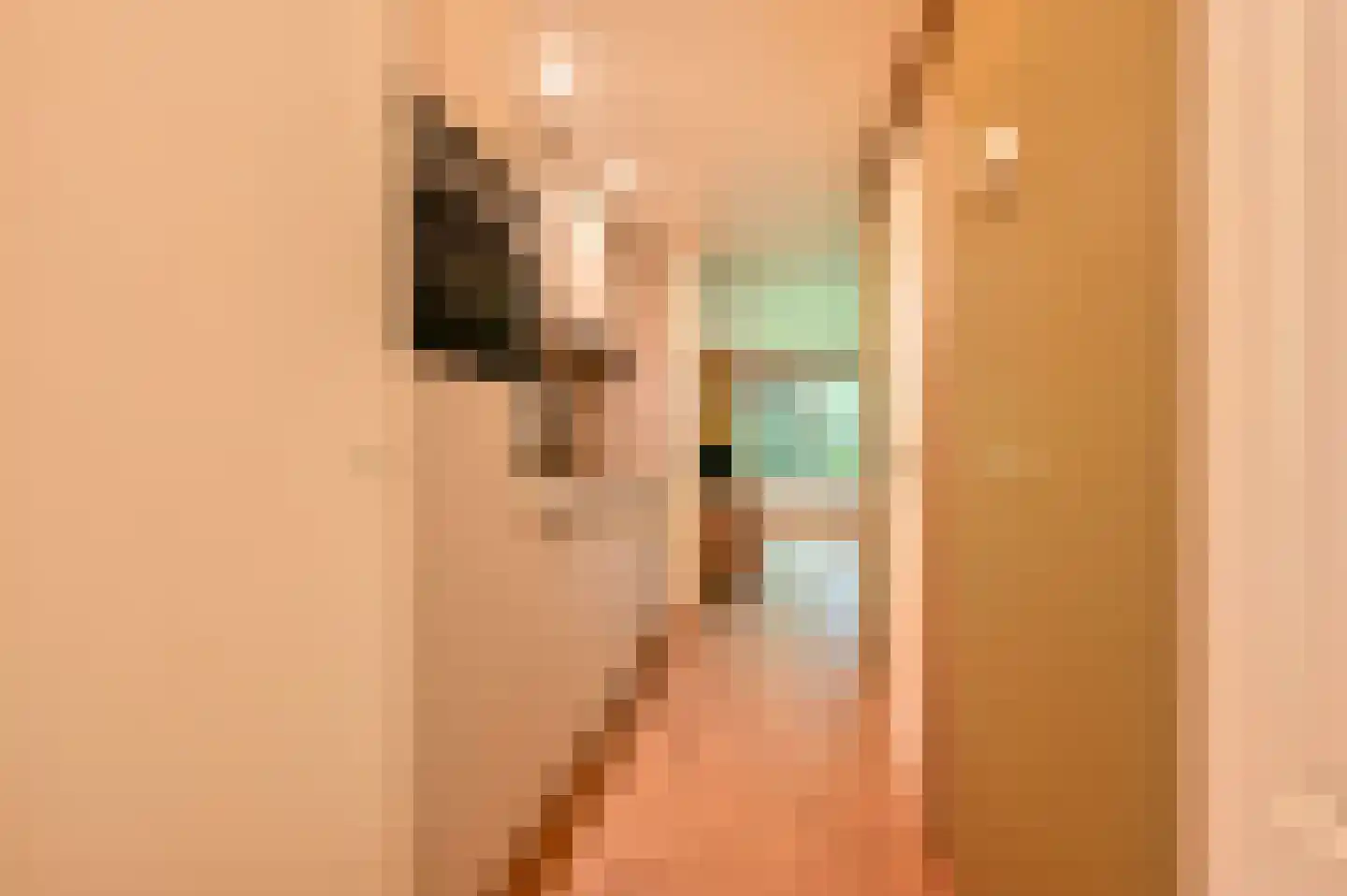 Buinerweg 8 100 Ees thumbnail 11