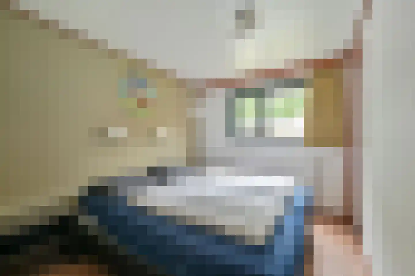 Buinerweg 8 100 Ees thumbnail 14