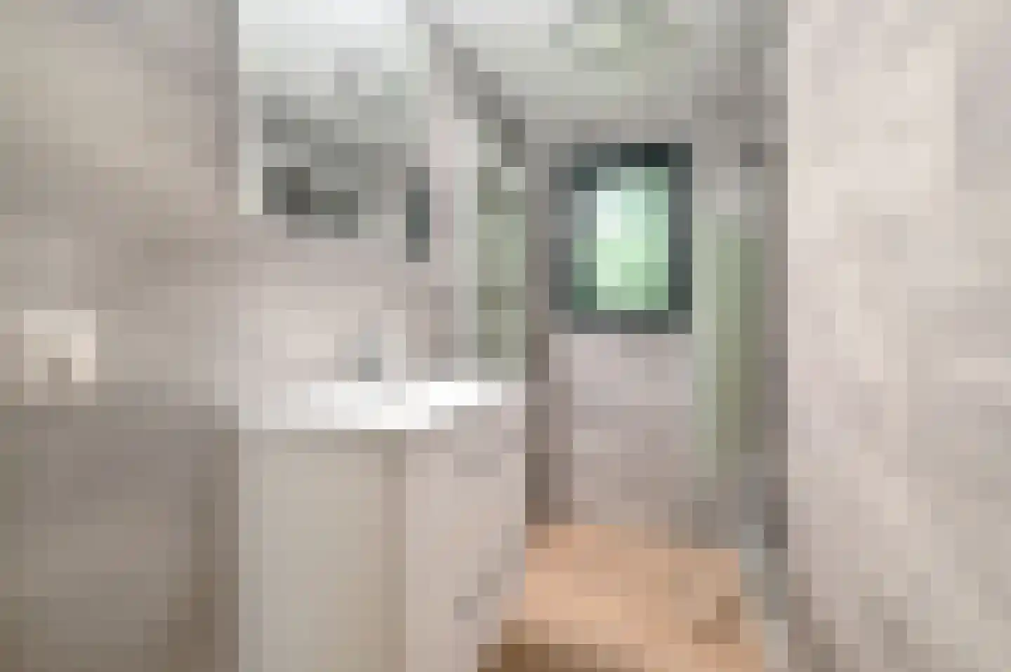 Buinerweg 8 100 Ees thumbnail 16