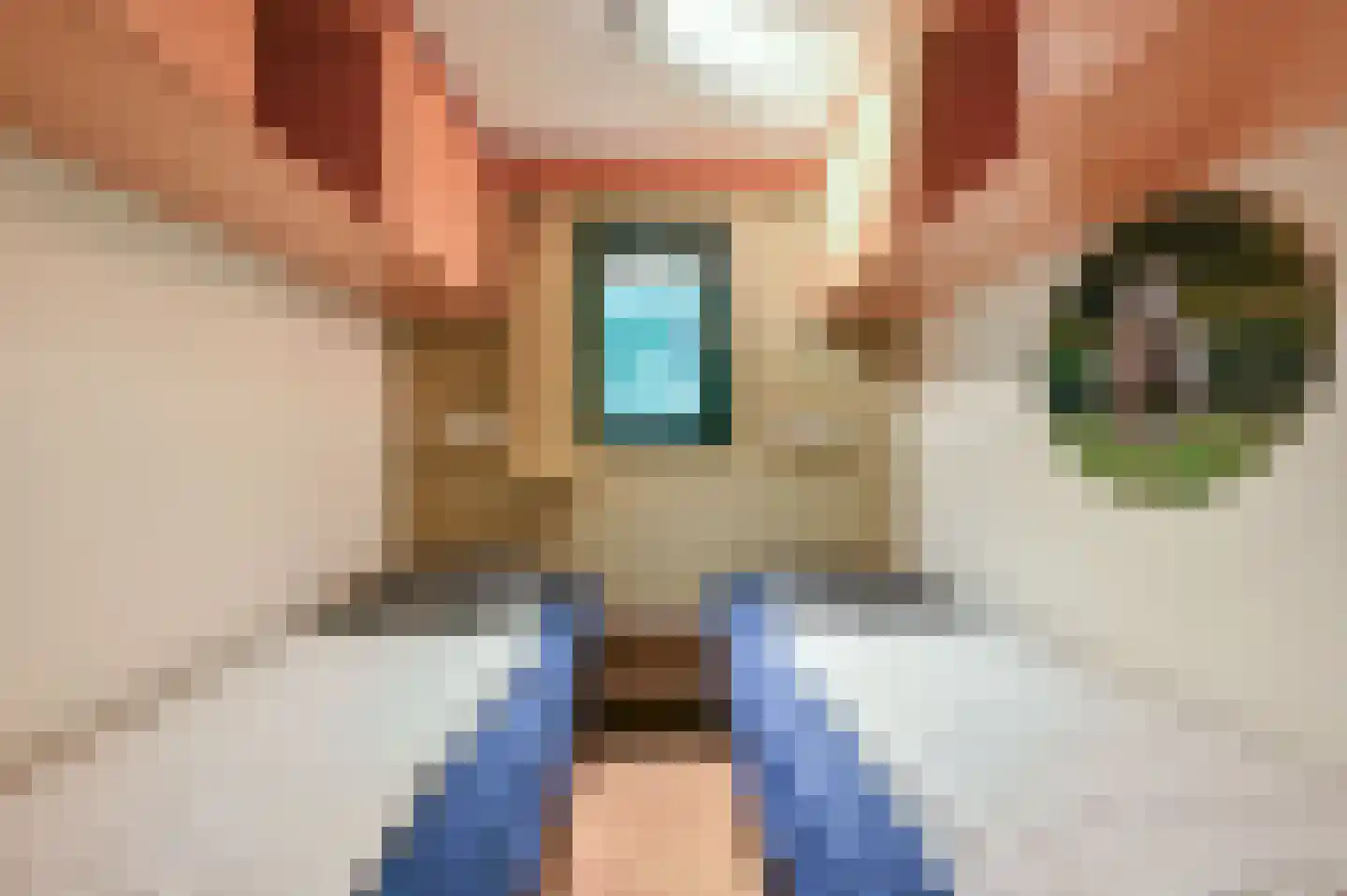 Buinerweg 8 100 Ees thumbnail 18