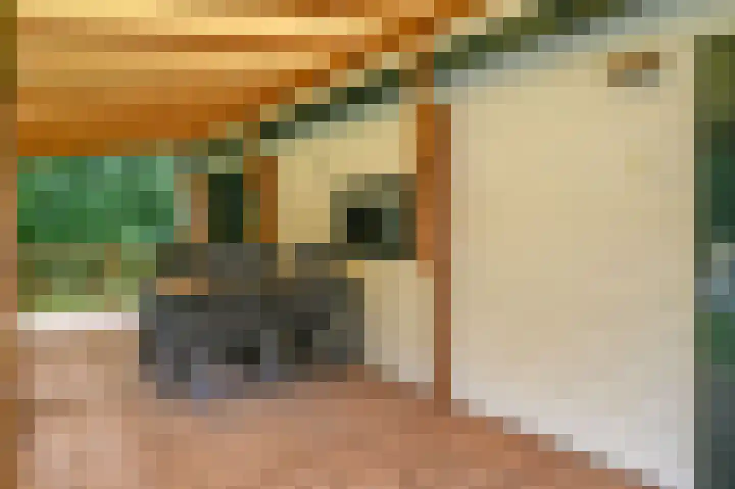 Buinerweg 8 100 Ees thumbnail 19