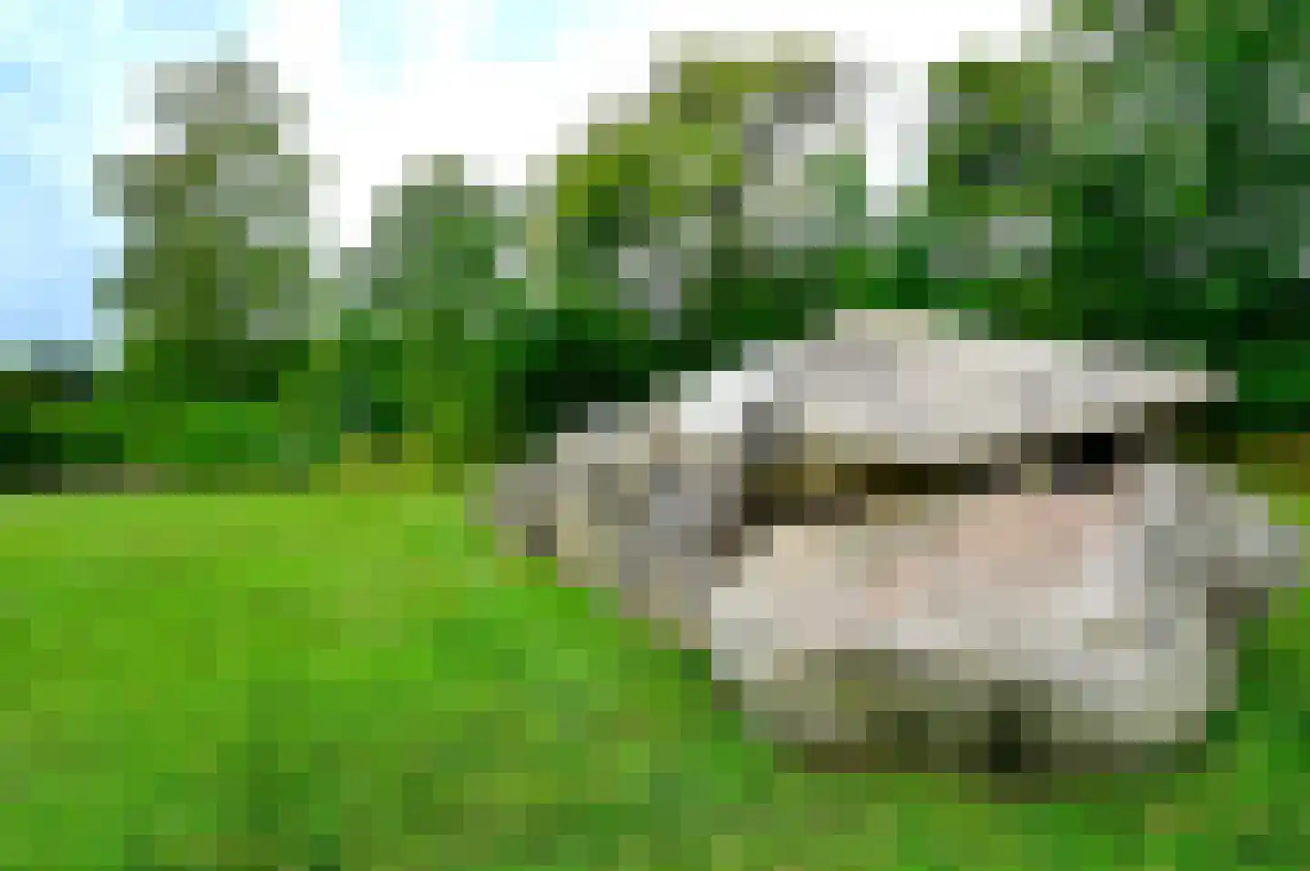 Buinerweg 8 100 Ees thumbnail 24