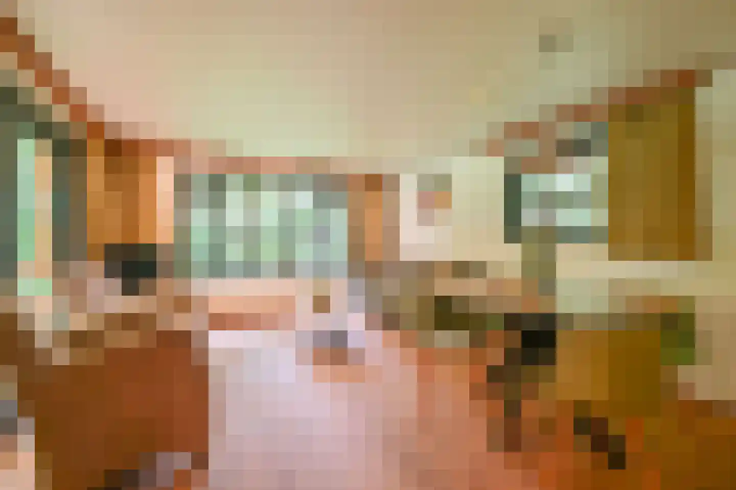 Buinerweg 8 100 Ees thumbnail 4