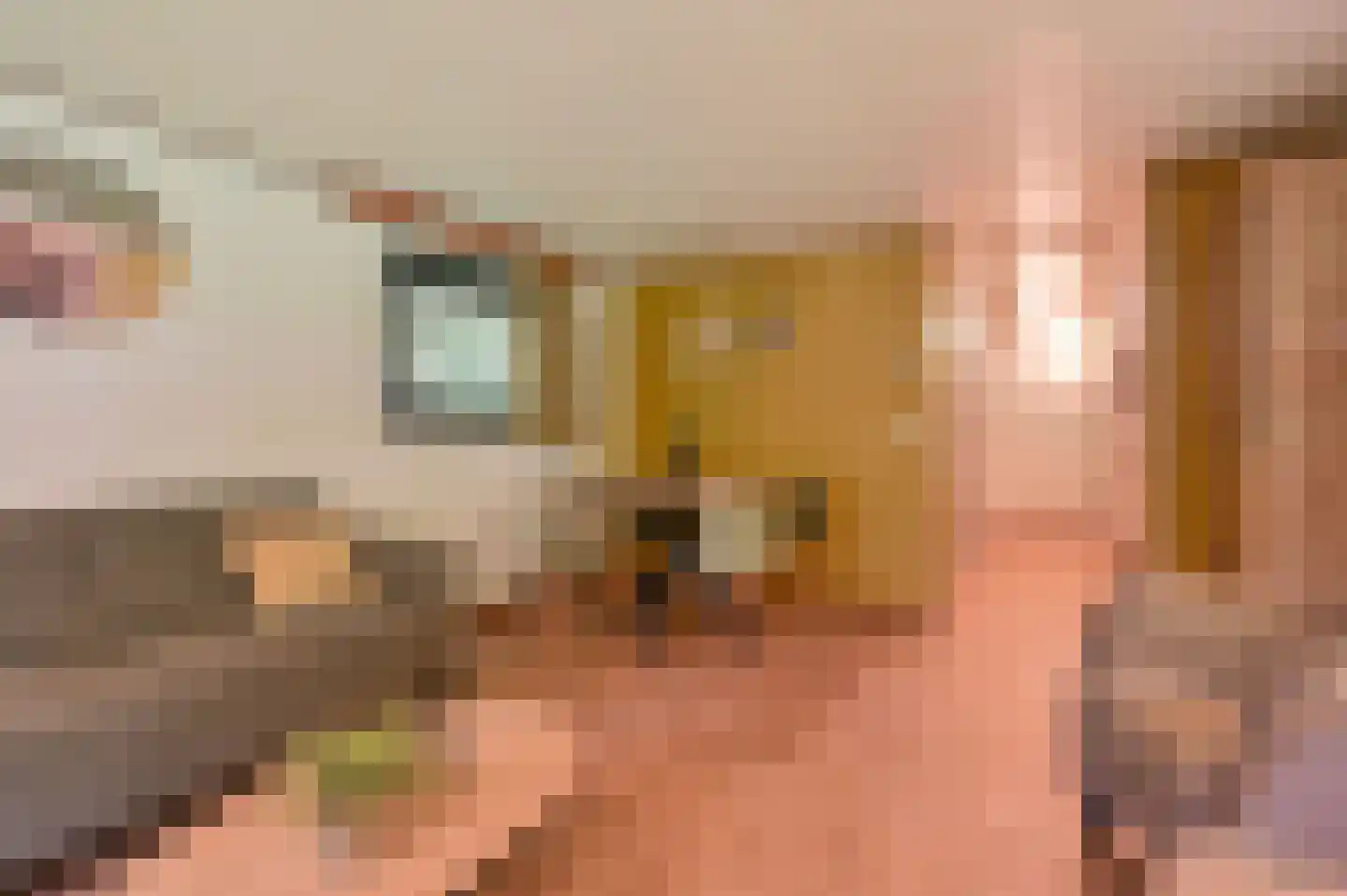 Buinerweg 8 100 Ees thumbnail 7