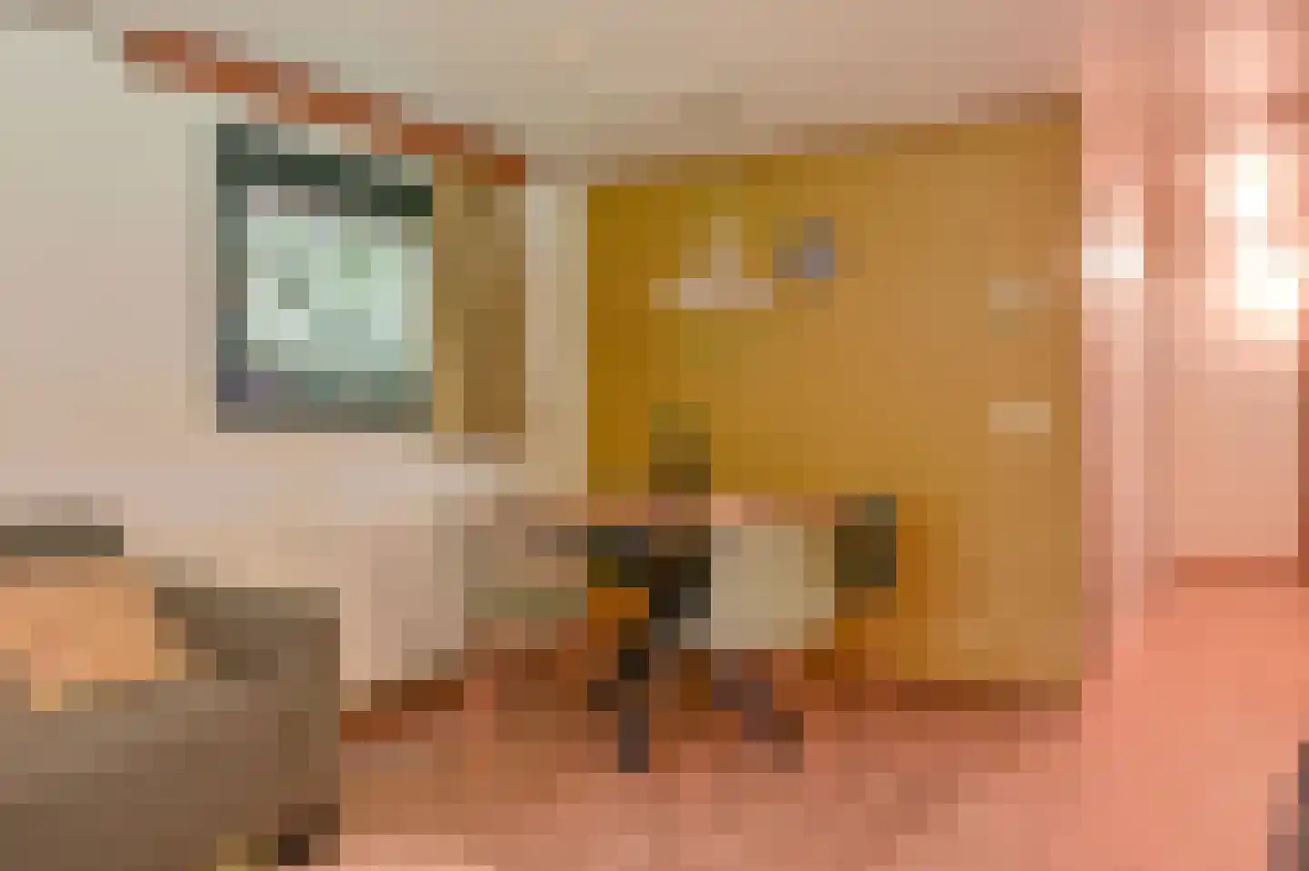 Buinerweg 8 100 Ees thumbnail 8
