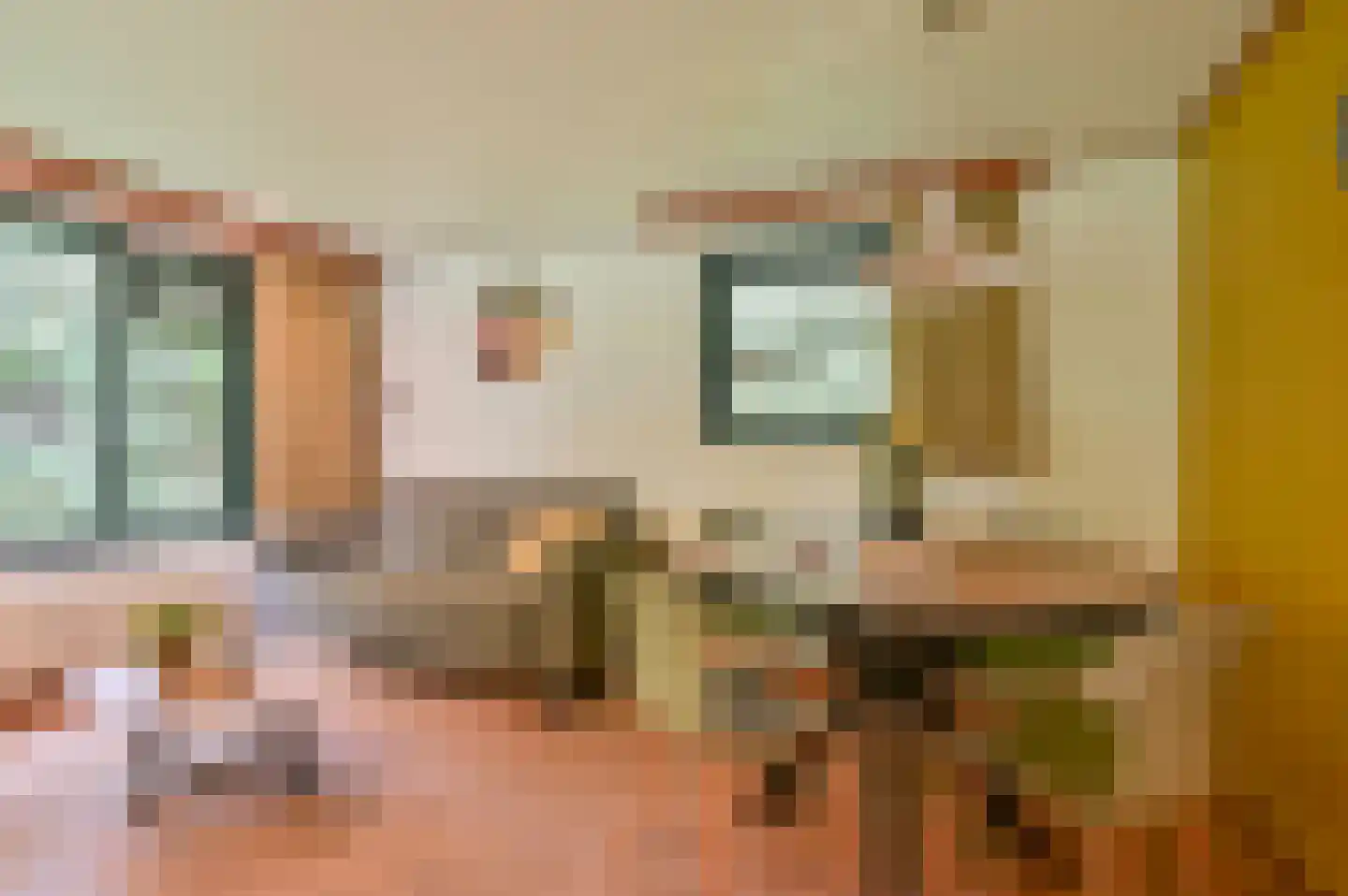 Buinerweg 8 100 Ees thumbnail 9