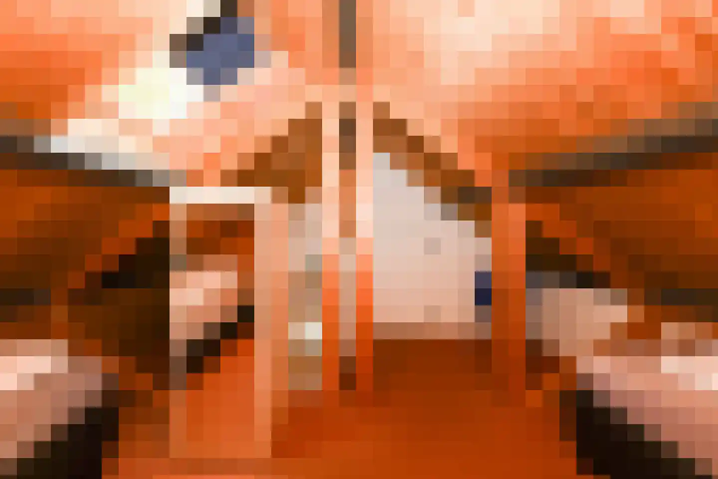 Buinerweg 8 101 Ees thumbnail 15