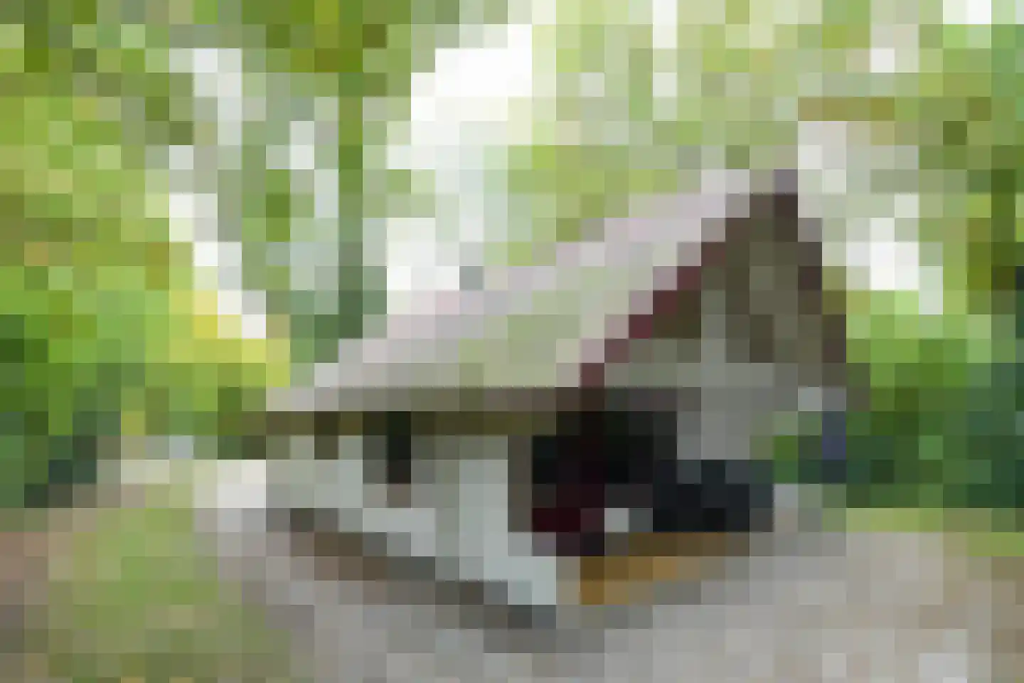 Buinerweg 8 101 Ees thumbnail 16