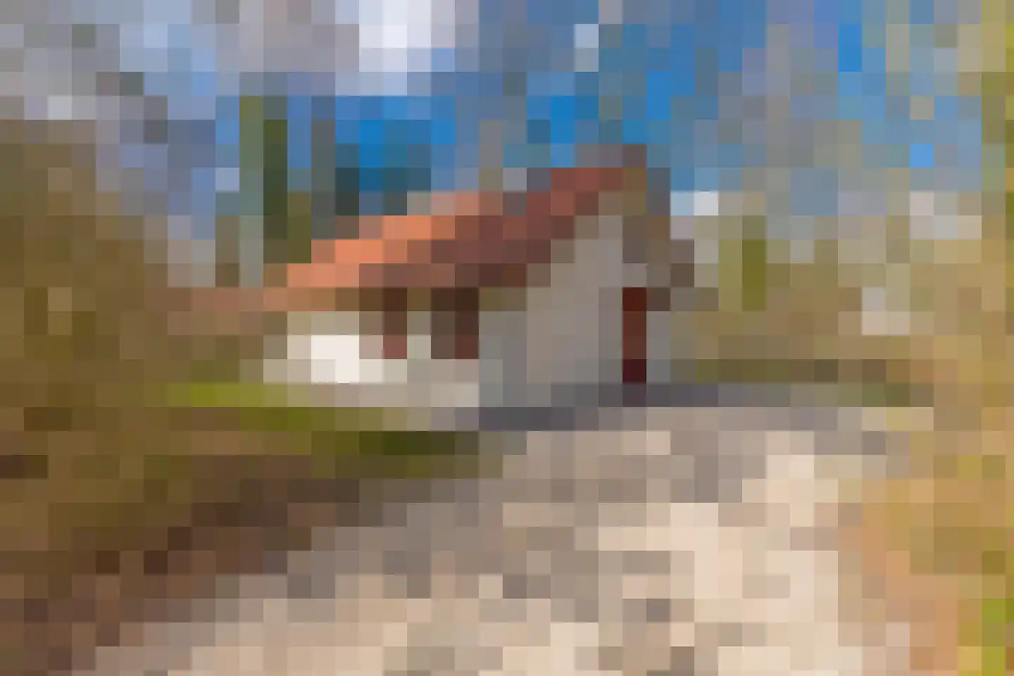 Buinerweg 8 105 Ees thumbnail 31