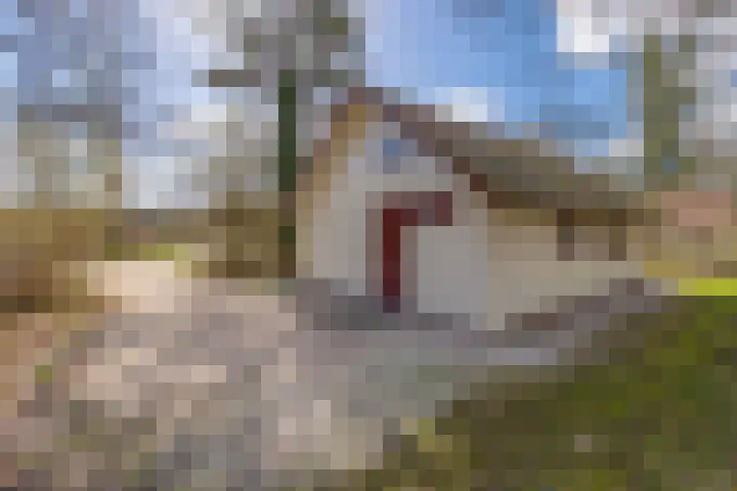 Buinerweg 8 105 Ees thumbnail 32