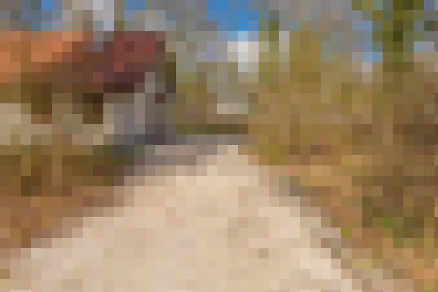 Buinerweg 8 105 Ees thumbnail 34
