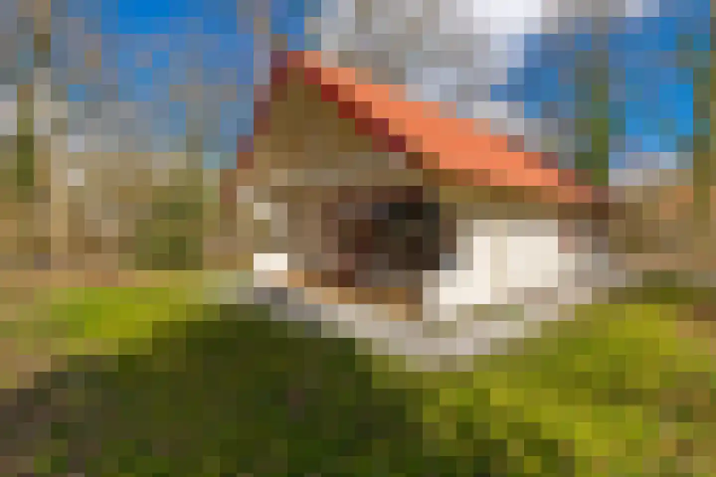 Buinerweg 8 105 Ees thumbnail 44