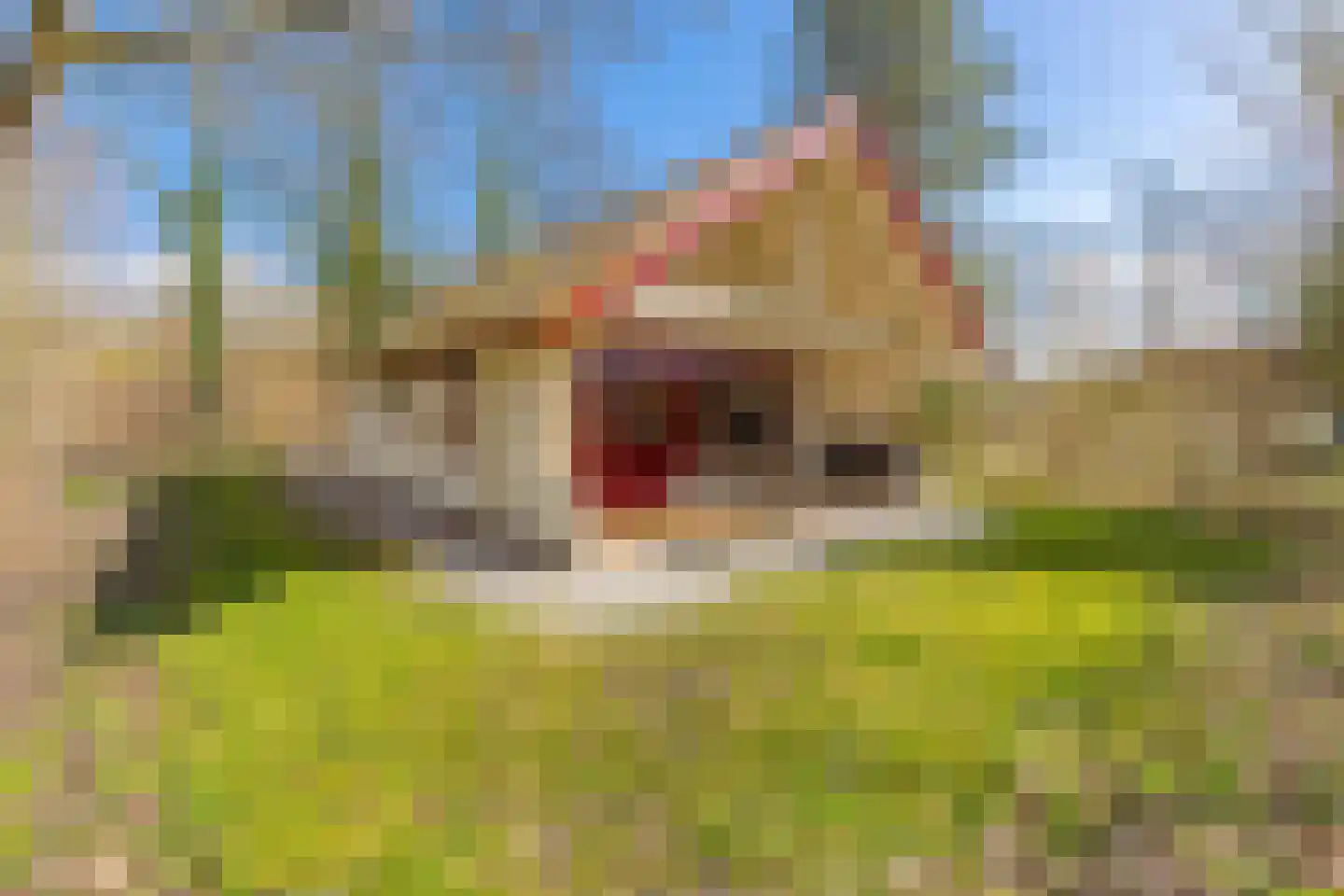 Buinerweg 8 105 Ees thumbnail 45