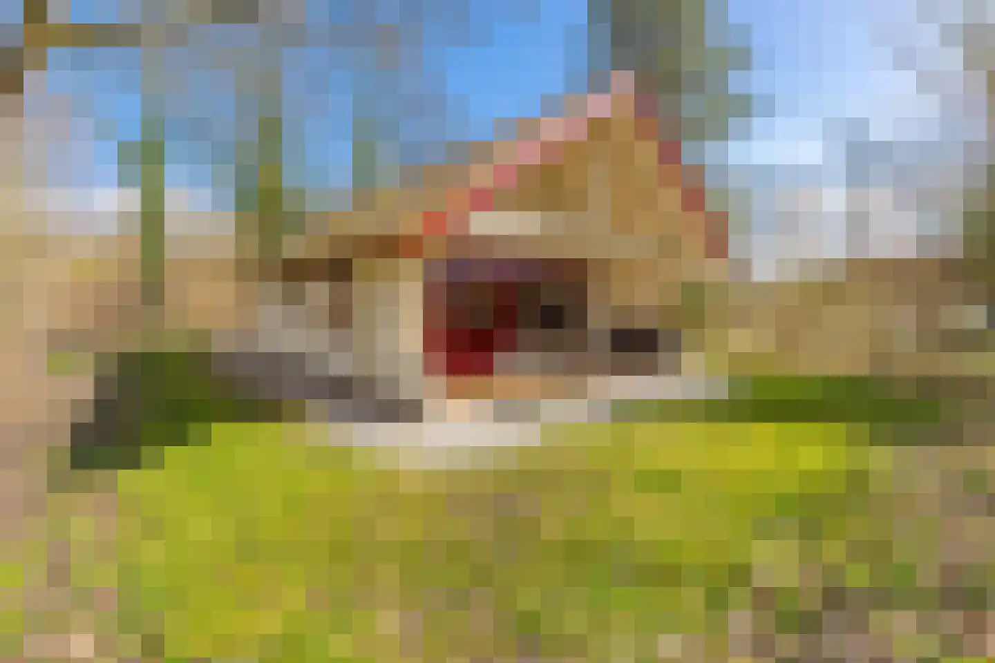Buinerweg 8 105 Ees thumbnail 45
