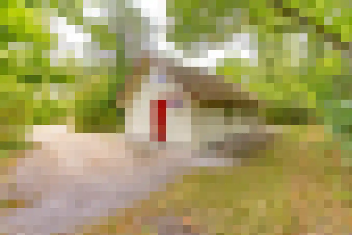 Buinerweg 8 105 Ees thumbnail 5