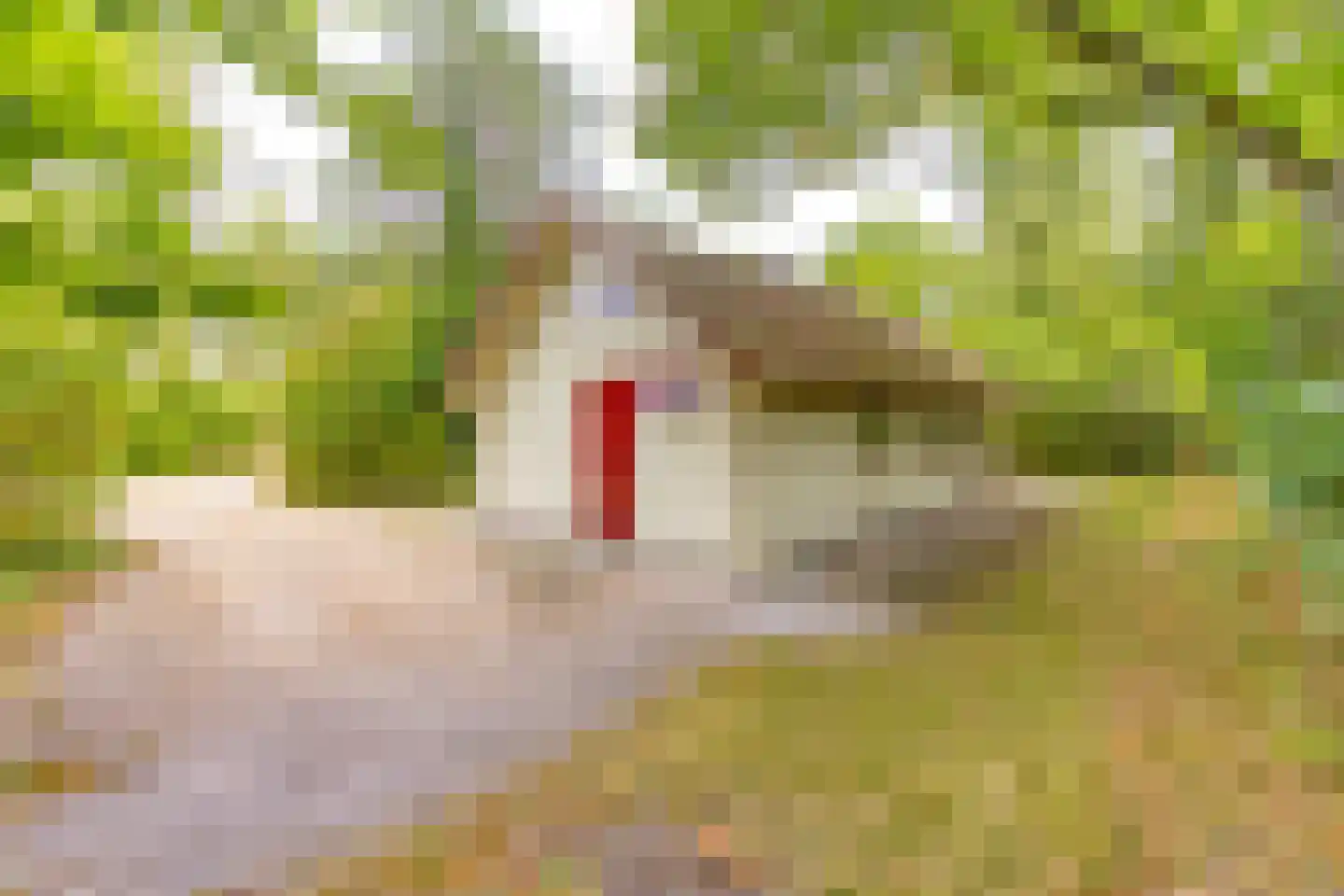 Buinerweg 8 105 Ees thumbnail 5