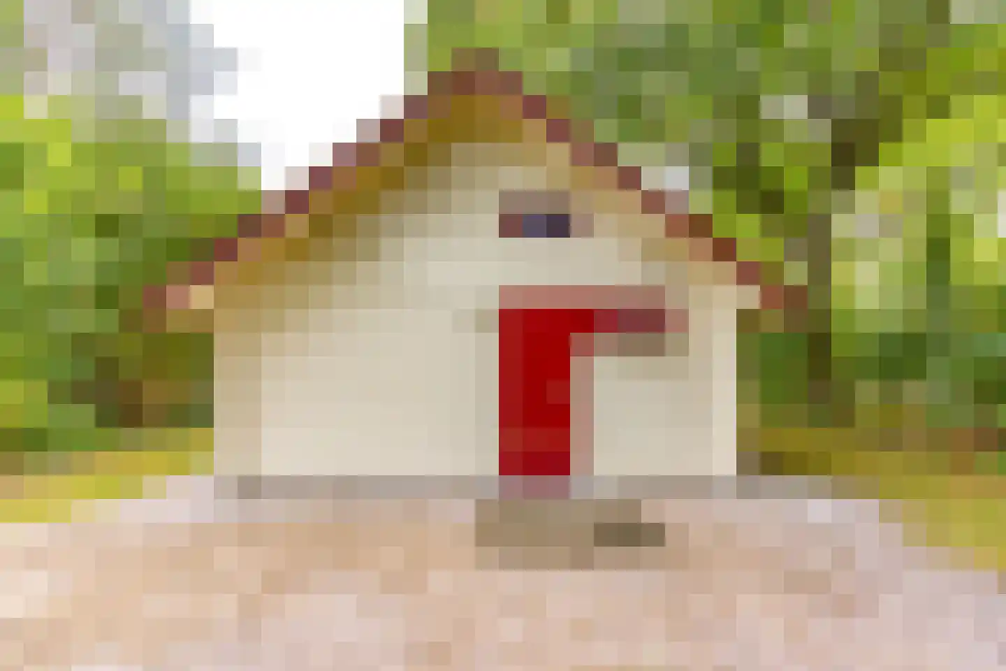 Buinerweg 8 105 Ees thumbnail 6