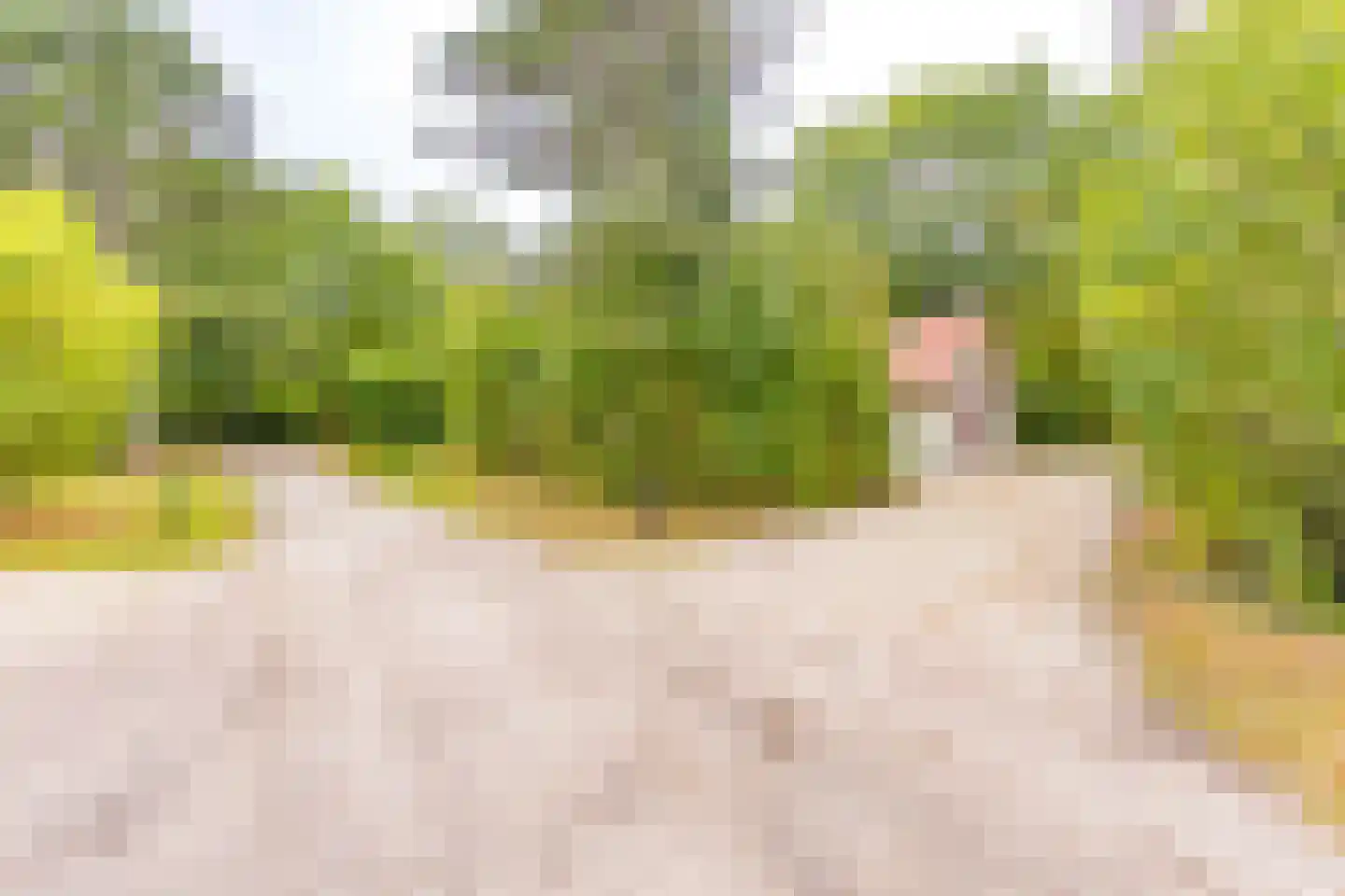 Buinerweg 8 105 Ees thumbnail 7