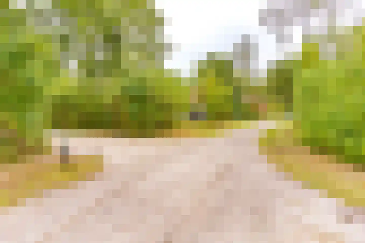 Buinerweg 8 105 Ees thumbnail 8