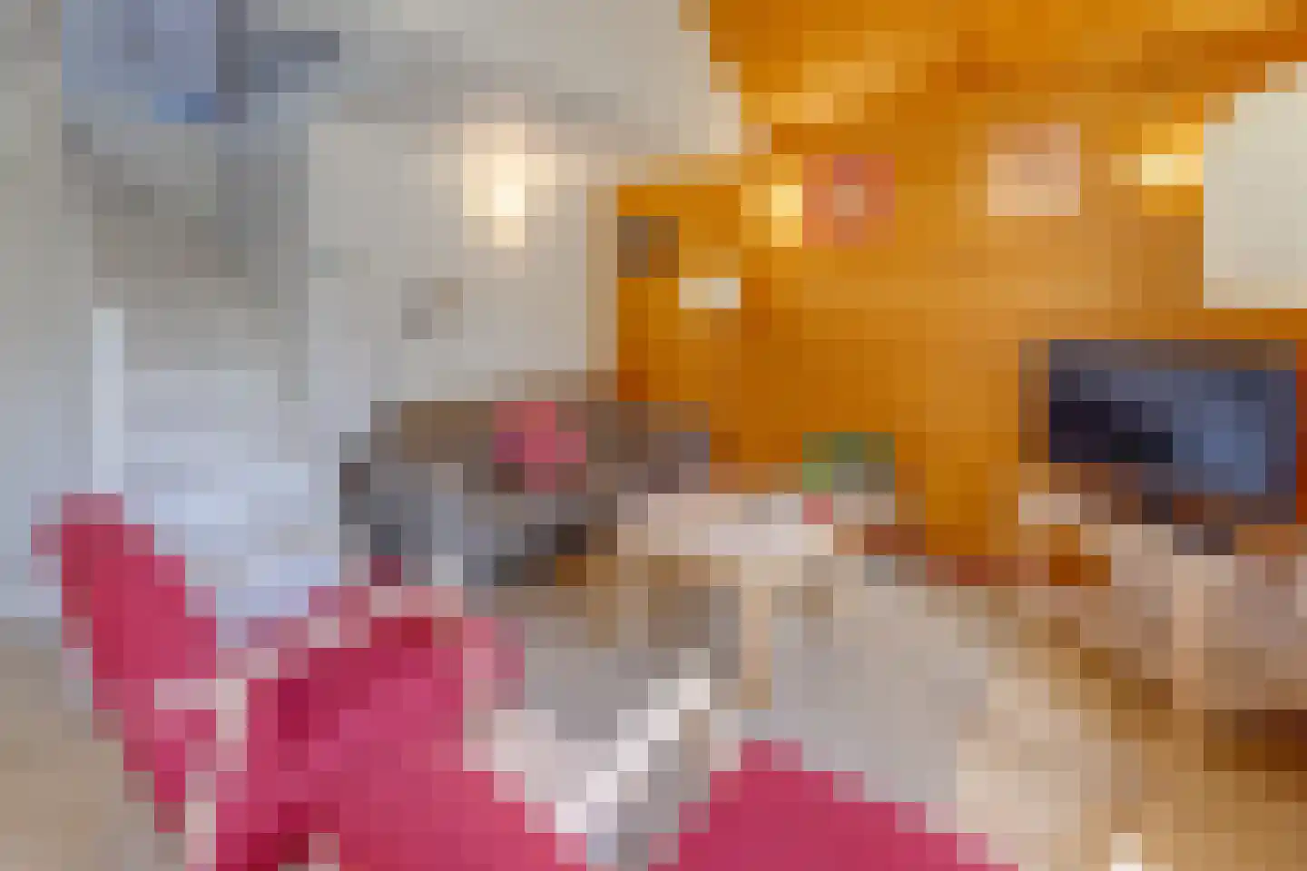 Buinerweg 8 105 Ees thumbnail 9