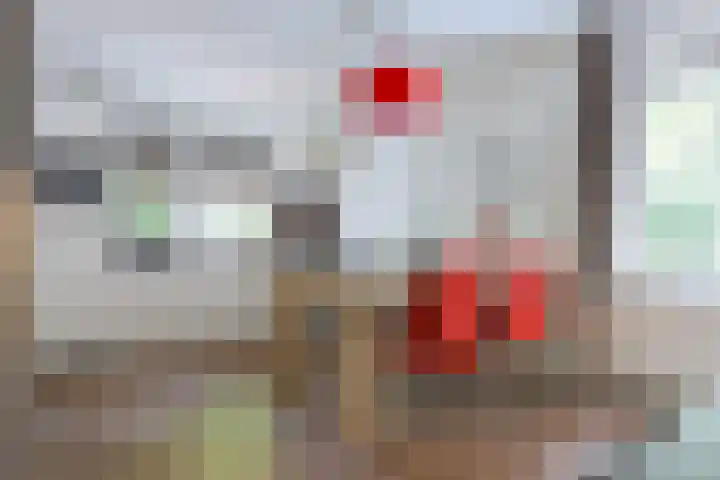 Buinerweg 8 127 Ees thumbnail 10