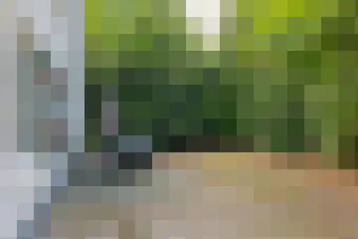 Buinerweg 8 127 Ees thumbnail 21