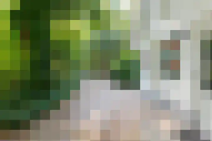 Buinerweg 8 127 Ees thumbnail 33
